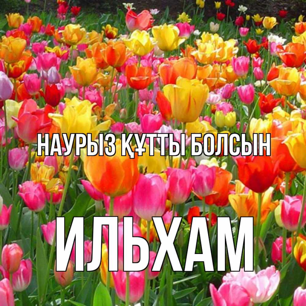 Открытка на каждый день с именем, Ильхам Наурыз құтты болсын на наурыз  ура ура Прикольная открытка с пожеланием онлайн скачать бесплатно 