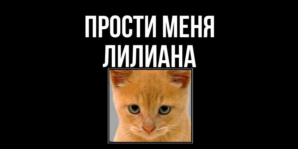 Открытка на каждый день с именем, Лилиана Прости меня рыжий грустный кот просит прощения Прикольная открытка с пожеланием онлайн скачать бесплатно 