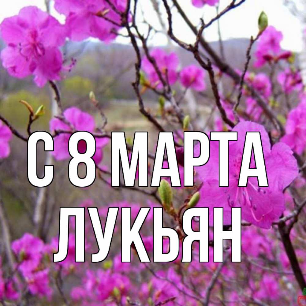 Открытка на каждый день с именем, Лукьян С 8 МАРТА международный женский день Прикольная открытка с пожеланием онлайн скачать бесплатно 