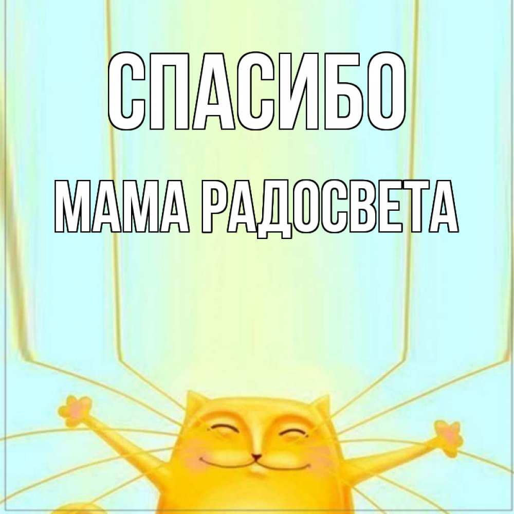 Открытка на каждый день с именем, Мама-Радосвета Спасибо кот с усами благодарит Прикольная открытка с пожеланием онлайн скачать бесплатно 