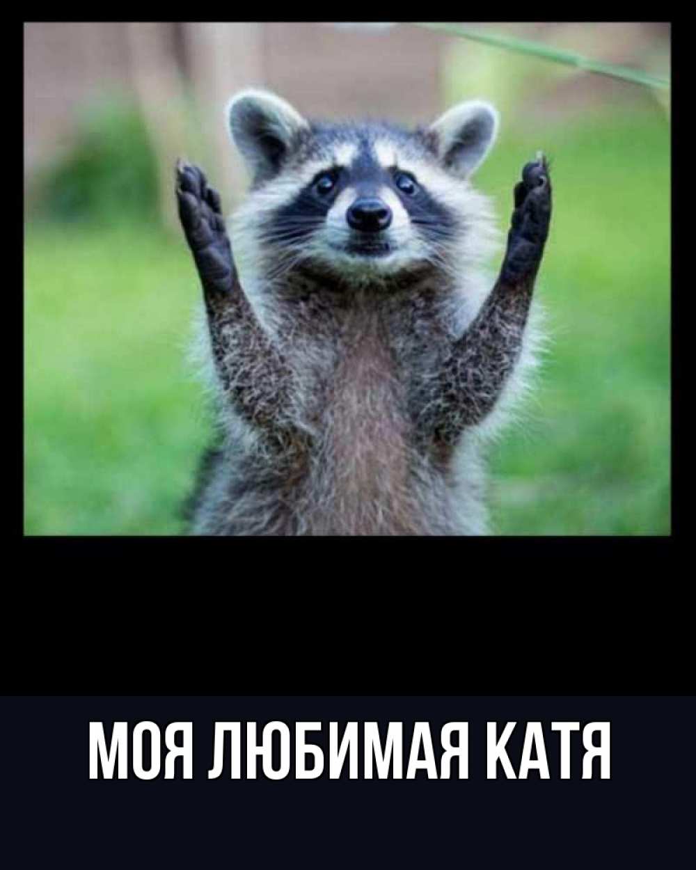 Открытка на каждый день с именем, Моя-любимая-Катя Главная хорошее настроение утречком Прикольная открытка с пожеланием онлайн скачать бесплатно 