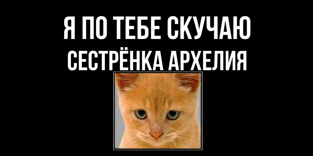Открытка на каждый день с именем, Сестрёнка-Архелия Я по тебе скучаю открытки рыжий котенок скучает по тебе Прикольная открытка с пожеланием онлайн скачать бесплатно 