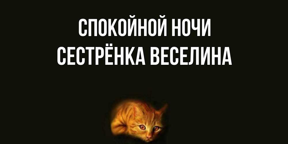 Открытка на каждый день с именем, Сестрёнка-Веселина Спокойной ночи кот Прикольная открытка с пожеланием онлайн скачать бесплатно 