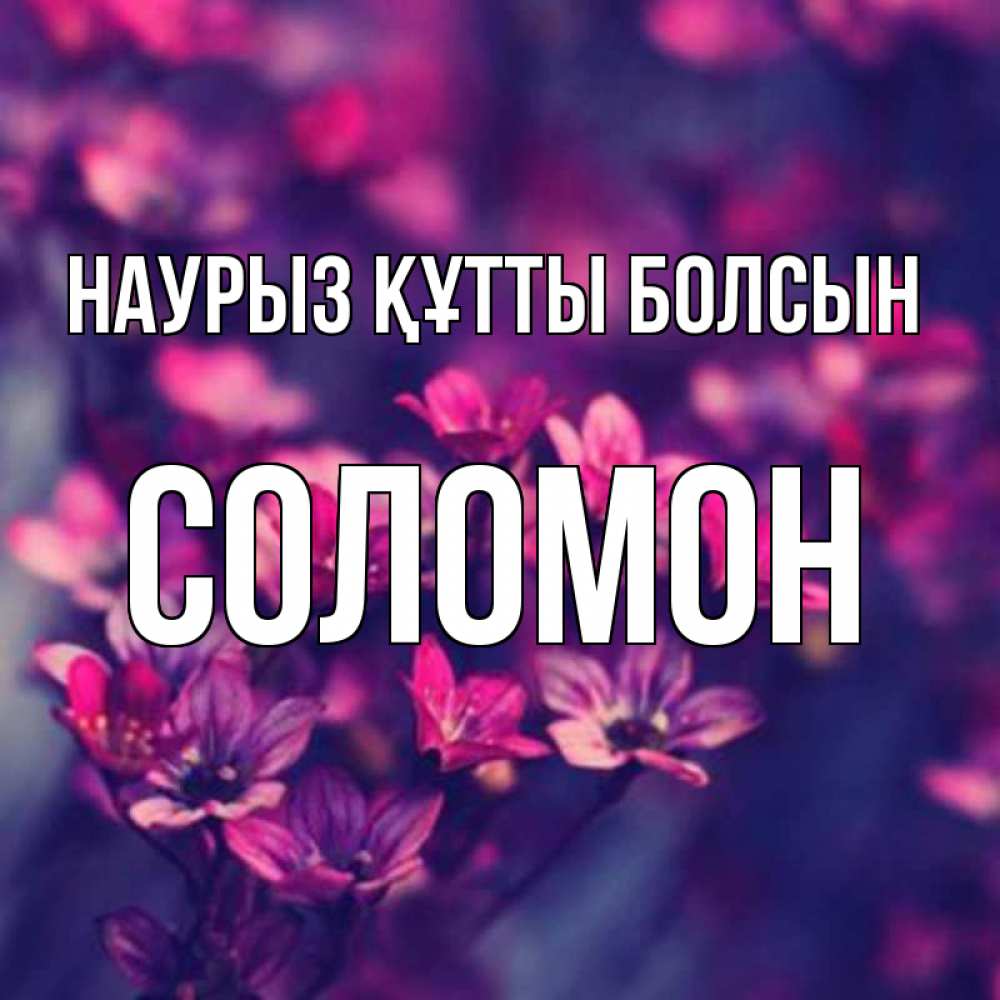 Открытка на каждый день с именем, Соломон Наурыз құтты болсын небольшие цветы 1 Прикольная открытка с пожеланием онлайн скачать бесплатно 