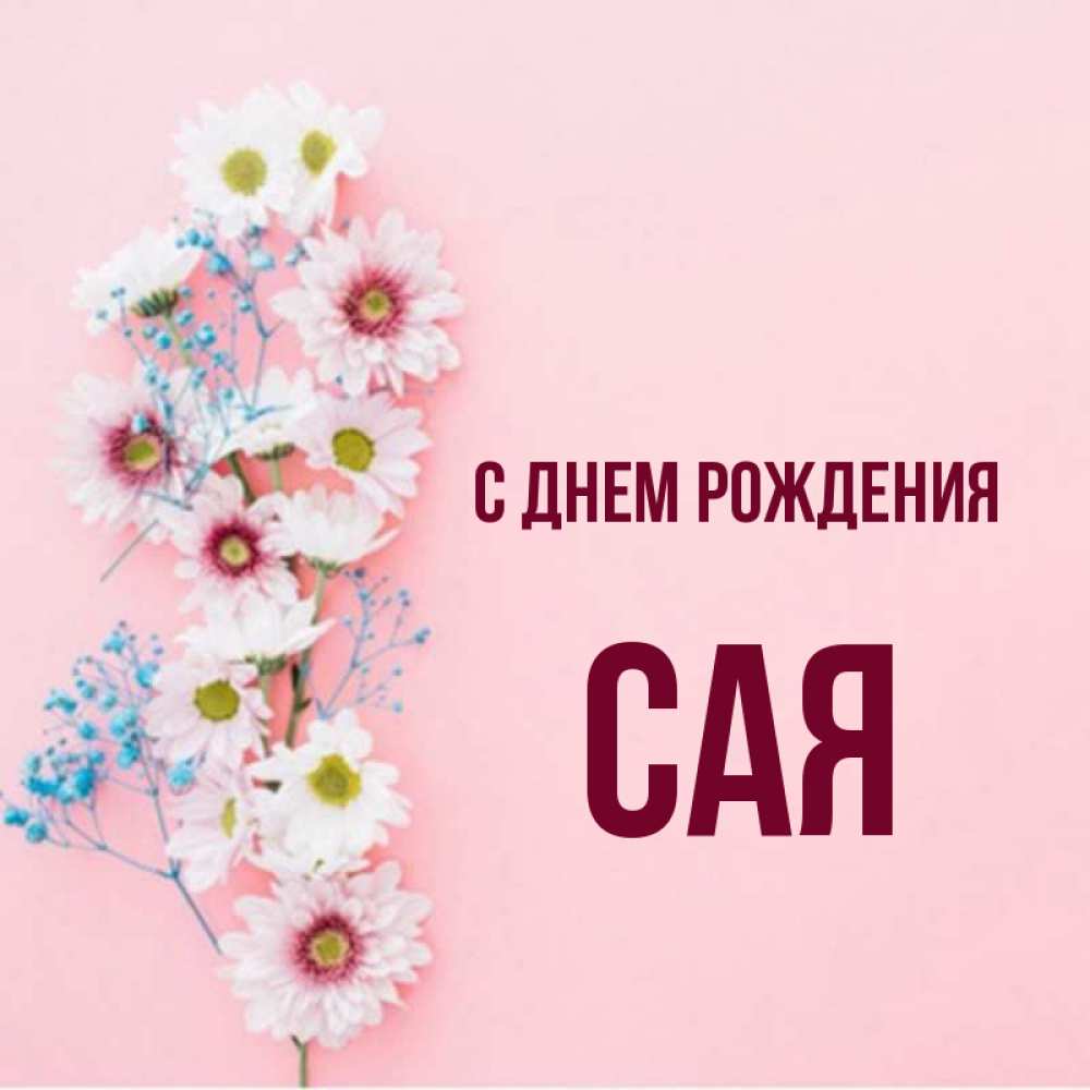 Имя сая