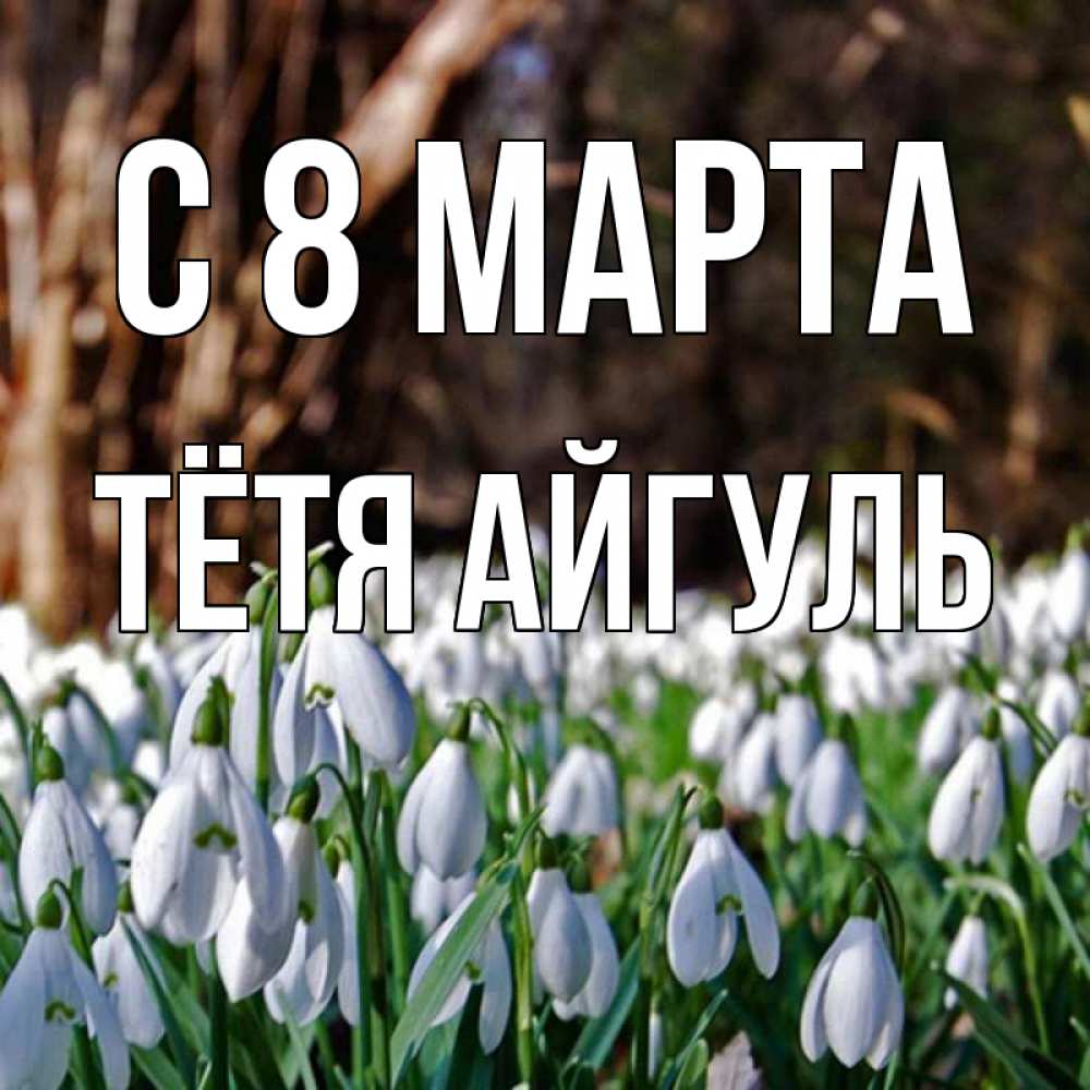 Открытка на каждый день с именем, Тётя-Айгуль С 8 марта с подснежниками 1 Прикольная открытка с пожеланием онлайн скачать бесплатно 