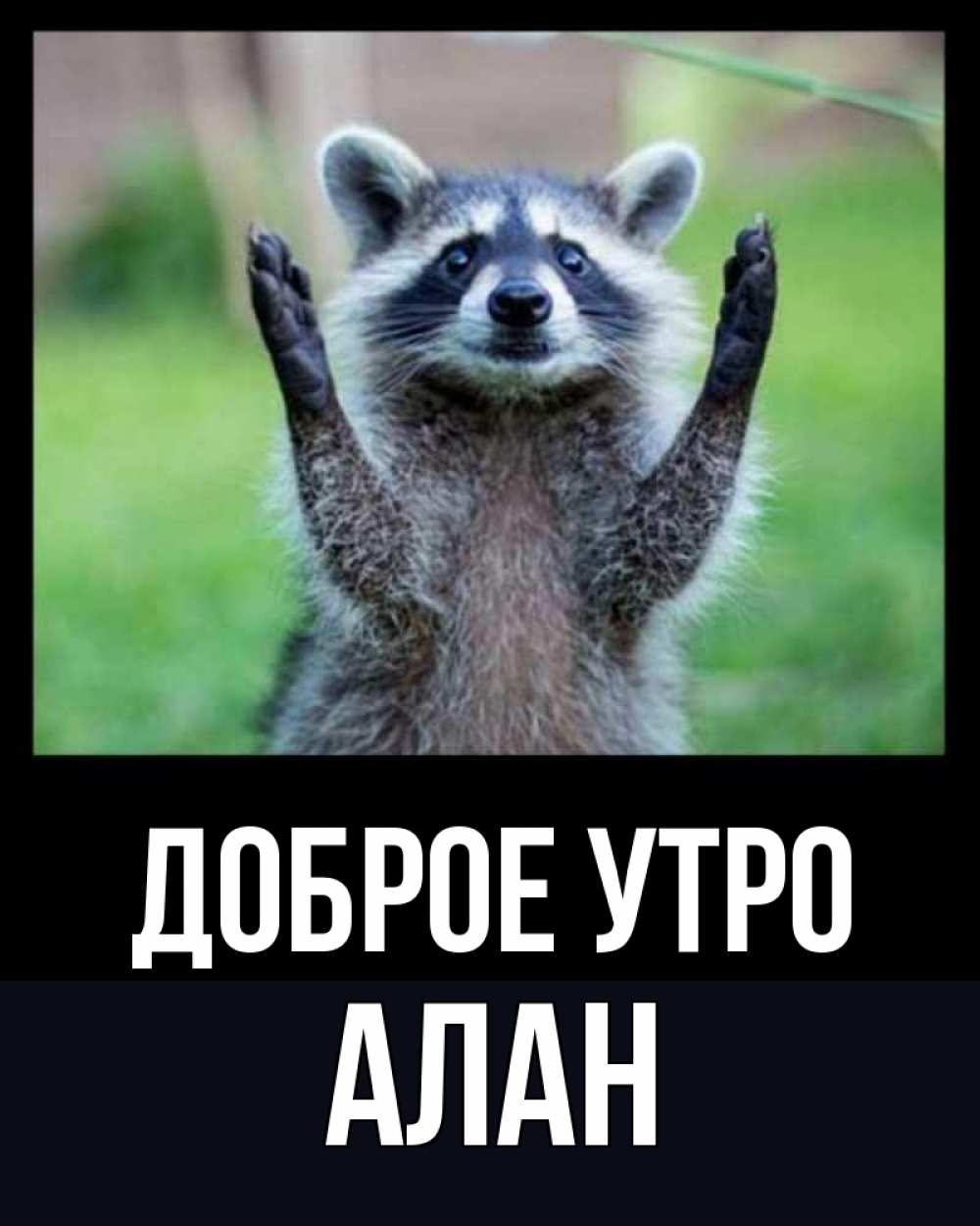 Открытка на каждый день с именем, Алан Доброе утро хорошее настроение утречком Прикольная открытка с пожеланием онлайн скачать бесплатно 