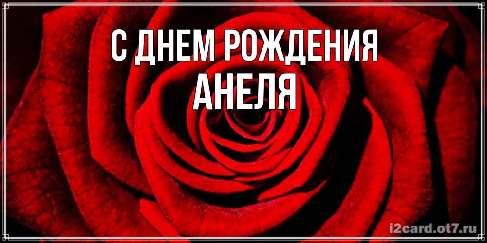 Открытка на каждый день с именем, Анеля С днем рождения алая роза Прикольная открытка с пожеланием онлайн скачать бесплатно 