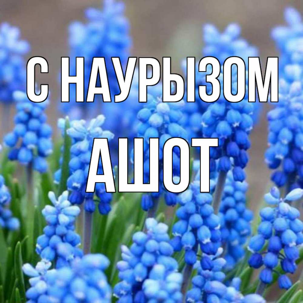 Открытка на каждый день с именем, Ашот С наурызом Поздравительная открытка для женщин с цветами на праздничную дату Прикольная открытка с пожеланием онлайн скачать бесплатно 