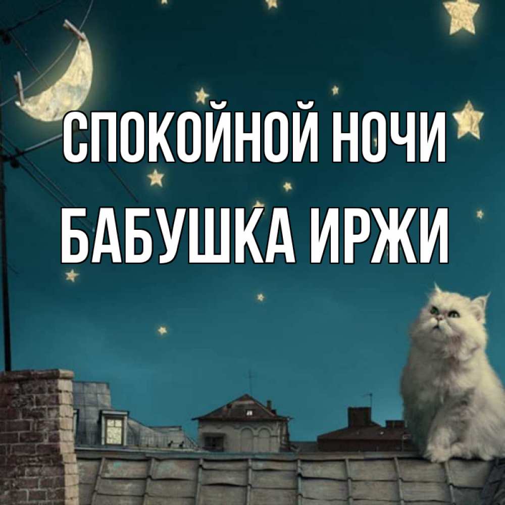 Открытка на каждый день с именем, Бабушка-Иржи Спокойной ночи белый кот сидит на крыше Прикольная открытка с пожеланием онлайн скачать бесплатно 