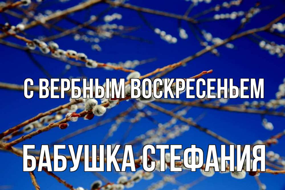 Открытка на каждый день с именем, Бабушка-Стефания С вербным воскресеньем верба Прикольная открытка с пожеланием онлайн скачать бесплатно 