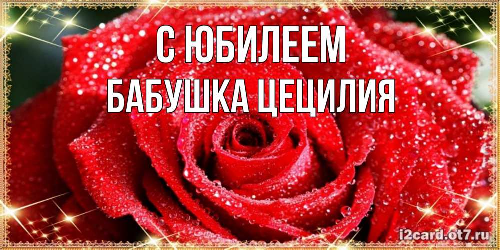 Открытка на каждый день с именем, Бабушка-Цецилия С юбилеем роса и роза. открытка с красивой розой Прикольная открытка с пожеланием онлайн скачать бесплатно 