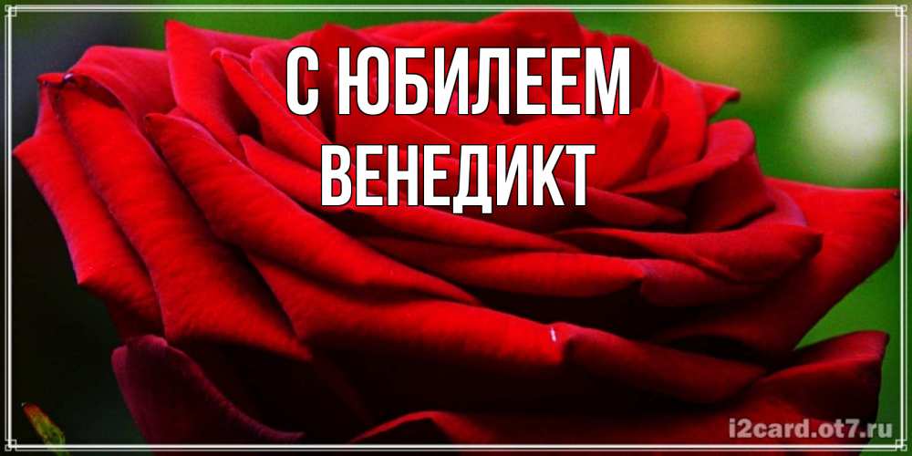 Открытка на каждый день с именем, Венедикт С юбилеем розочка очень красивая Прикольная открытка с пожеланием онлайн скачать бесплатно 