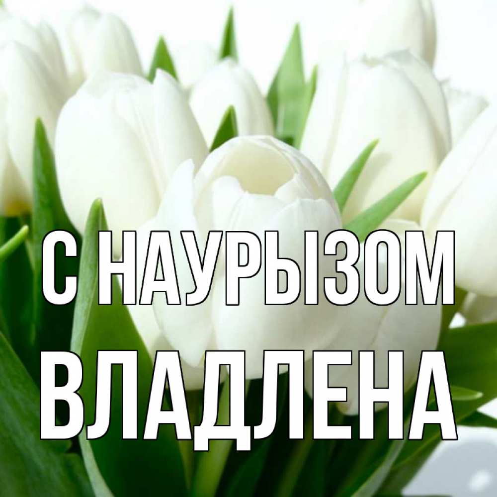 Открытка на каждый день с именем, Владлена С наурызом цветы Прикольная открытка с пожеланием онлайн скачать бесплатно 