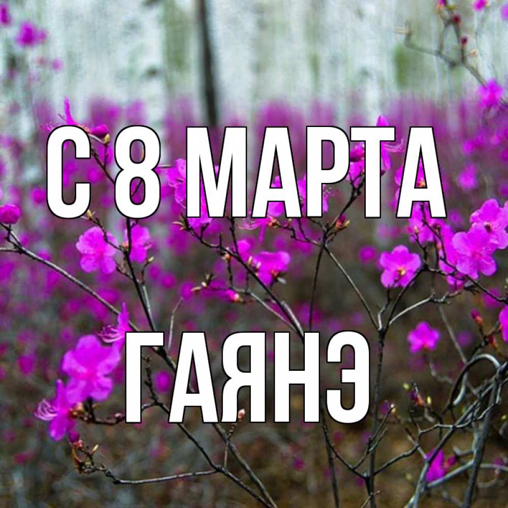 Открытка на каждый день с именем, Гаянэ С 8 МАРТА дикие цветы Прикольная открытка с пожеланием онлайн скачать бесплатно 