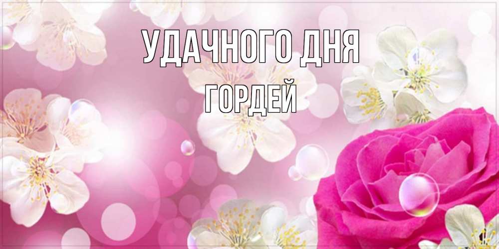 Открытка на каждый день с именем, Гордей Удачного дня красивые цветы Прикольная открытка с пожеланием онлайн скачать бесплатно 