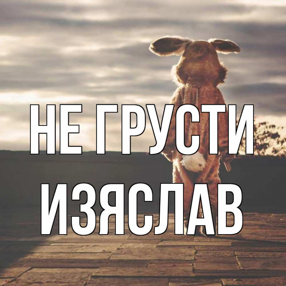 Открытка на каждый день с именем, Изяслав Не грусти со спины Прикольная открытка с пожеланием онлайн скачать бесплатно 