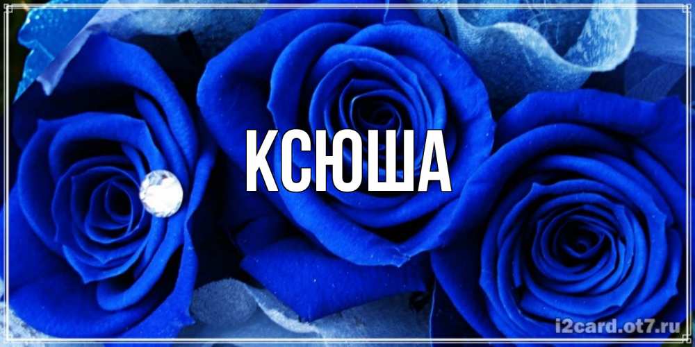 Открытка на каждый день с именем, Ксюша Главная синие розы в росе Прикольная открытка с пожеланием онлайн скачать бесплатно 