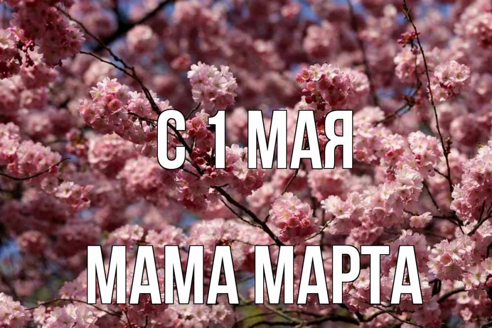 Открытка на каждый день с именем, Мама-Марта С 1 мая С 1 мая Прикольная открытка с пожеланием онлайн скачать бесплатно 