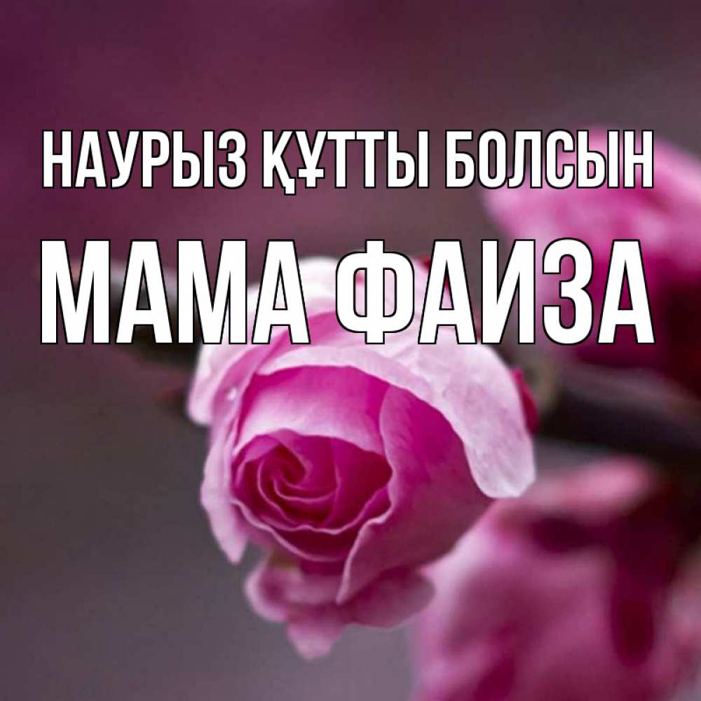 Открытка на каждый день с именем, Мама-Фаиза Наурыз құтты болсын весна Прикольная открытка с пожеланием онлайн скачать бесплатно 