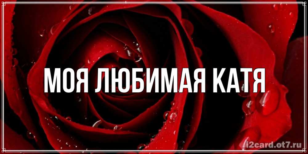 Открытка на каждый день с именем, Моя-любимая-Катя Главная крупная бордовая роза Прикольная открытка с пожеланием онлайн скачать бесплатно 