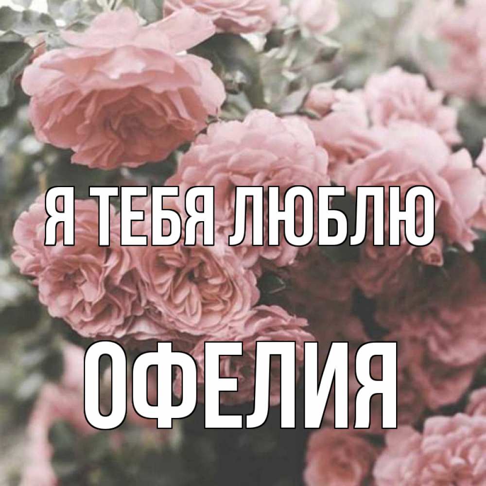 Открытка на каждый день с именем, Офелия Я тебя люблю розы 3 Прикольная открытка с пожеланием онлайн скачать бесплатно 