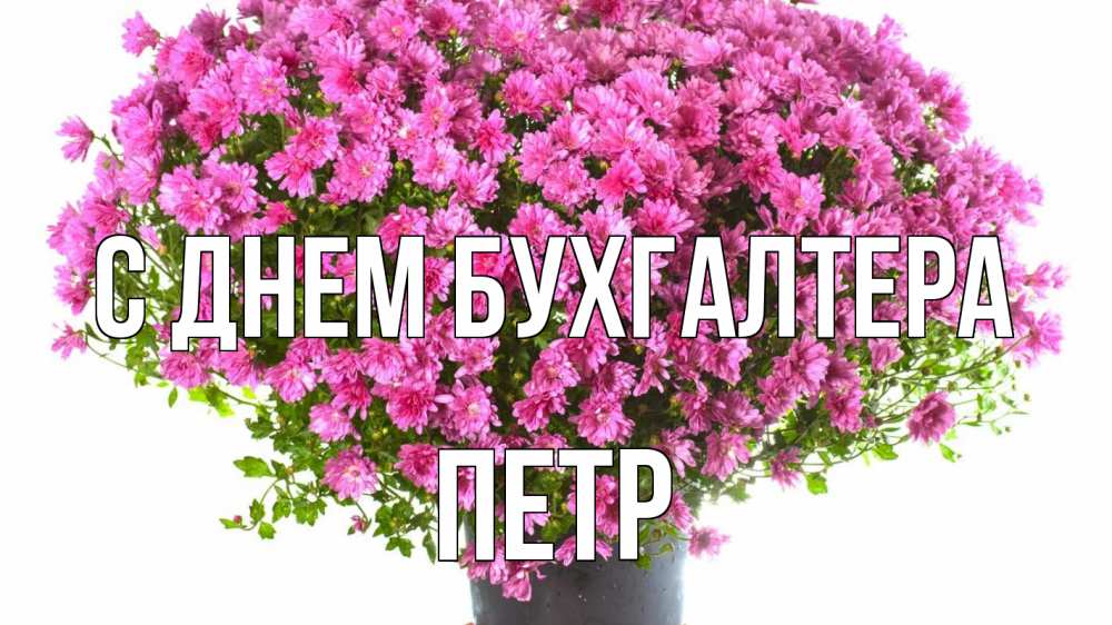 Открытка на каждый день с именем, Петр С днем бухгалтера с днем бухгалтера Прикольная открытка с пожеланием онлайн скачать бесплатно 