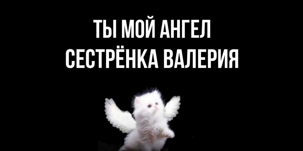 Открытка на каждый день с именем, Сестрёнка-Валерия Ты мой ангел Кот ангел Прикольная открытка с пожеланием онлайн скачать бесплатно 