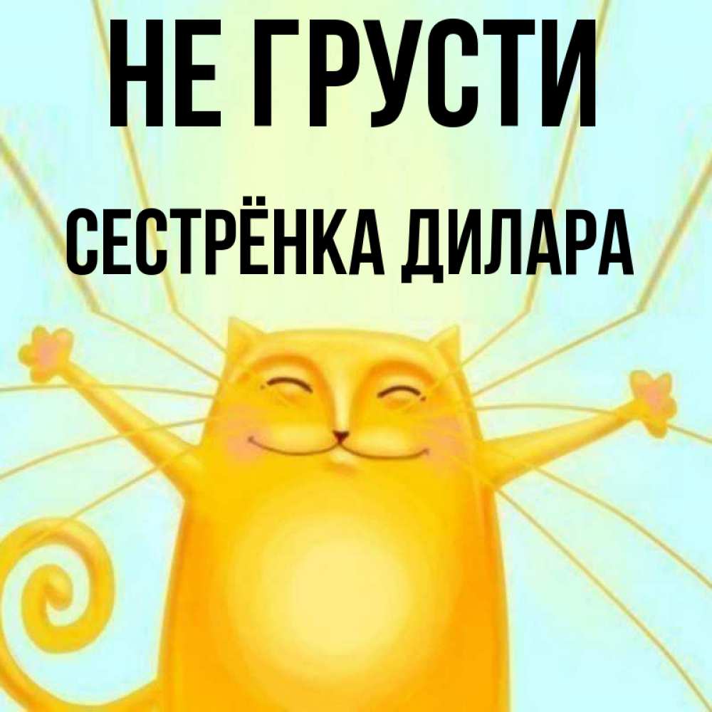 Открытка на каждый день с именем, Сестрёнка-Дилара Не грусти обнимашки усатые Прикольная открытка с пожеланием онлайн скачать бесплатно 