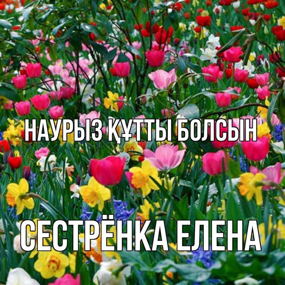 Открытка на каждый день с именем, Сестрёнка-Елена Наурыз құтты болсын с наурызом поздравления для женщины Прикольная открытка с пожеланием онлайн скачать бесплатно 