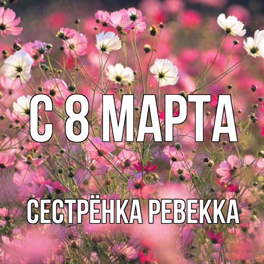 Открытка на каждый день с именем, Сестрёнка-Ревекка С 8 марта красиво 1 Прикольная открытка с пожеланием онлайн скачать бесплатно 