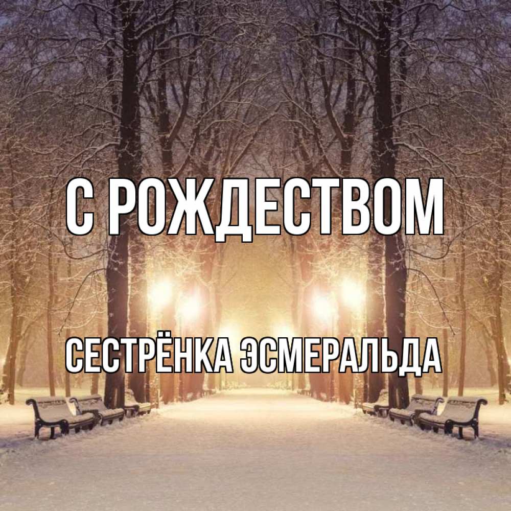 Открытка на каждый день с именем, Сестрёнка-Эсмеральда С рождеством зима, парк, фонарь, лес Прикольная открытка с пожеланием онлайн скачать бесплатно 