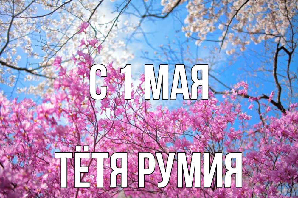 Открытка на каждый день с именем, Тётя-Румия С 1 мая С 1 мая Прикольная открытка с пожеланием онлайн скачать бесплатно 