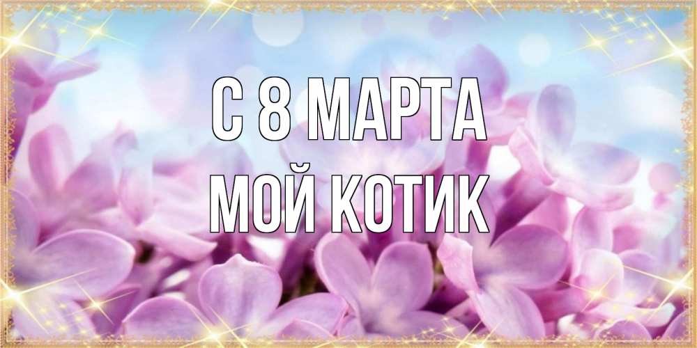 Открытка на каждый день с именем, мой-Котик С 8 марта открытка на международный женский день с цветами Прикольная открытка с пожеланием онлайн скачать бесплатно 