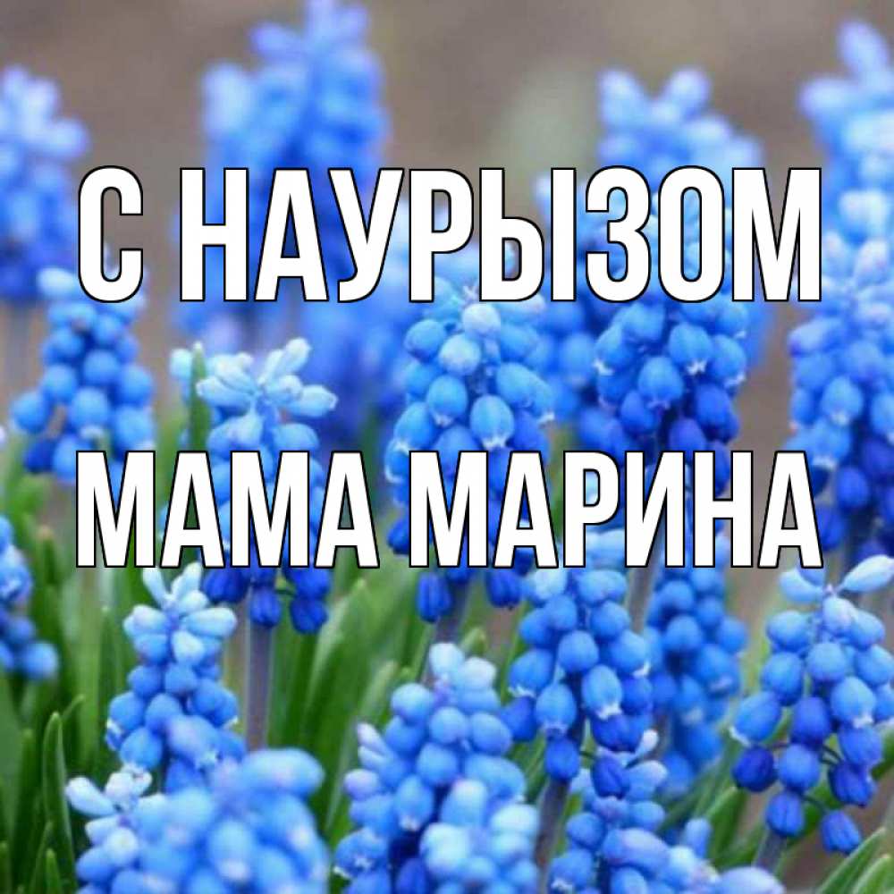 Открытка на каждый день с именем, Мама-Марина С наурызом Поздравительная открытка для женщин с цветами на праздничную дату Прикольная открытка с пожеланием онлайн скачать бесплатно 