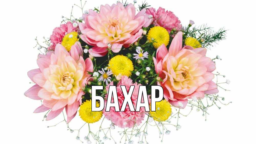 Открытка на каждый день с именем, Бахар Главная с днем бухгалтера Прикольная открытка с пожеланием онлайн скачать бесплатно 