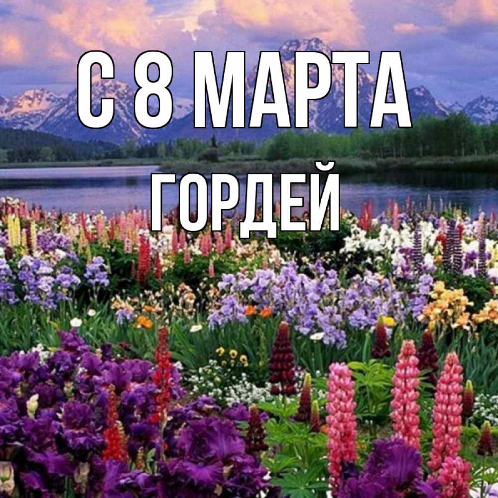 Картинка С 8 МАРТА, Гордей
