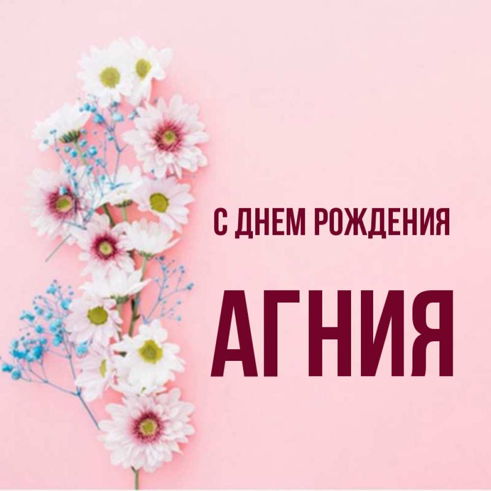 С днем рождения агния картинки