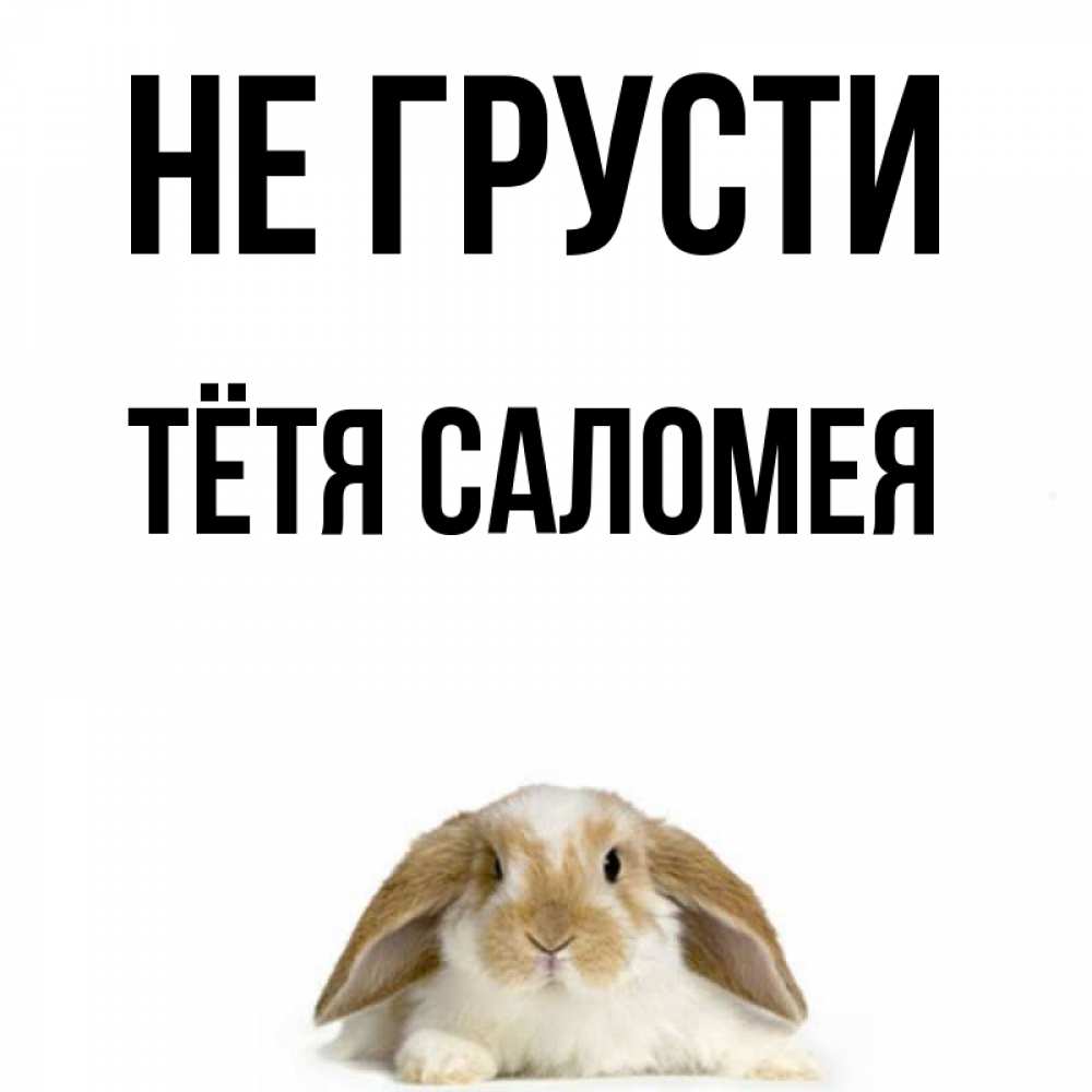 Открытка на каждый день с именем, Тётя-Саломея Не грусти коричнево белый заяц с большими ушками Прикольная открытка с пожеланием онлайн скачать бесплатно 