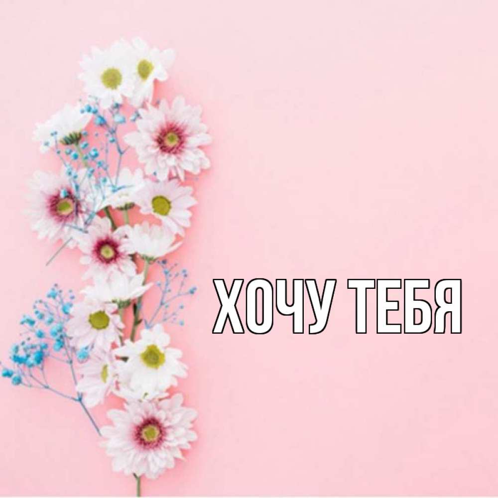 Открытка на каждый день с именем, Хочу-тебя Главная цветы с подписью Прикольная открытка с пожеланием онлайн скачать бесплатно 