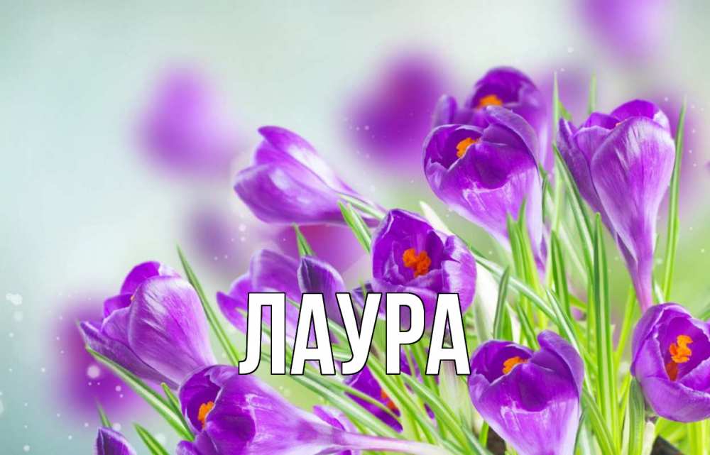 Картинка  с именем , Лаура