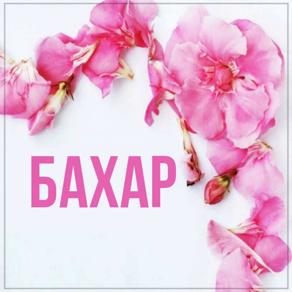 Картинка  с именем , Бахар