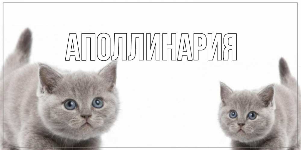 Открытка на каждый день с именем, Аполлинария Главная коты Прикольная открытка с пожеланием онлайн скачать бесплатно 