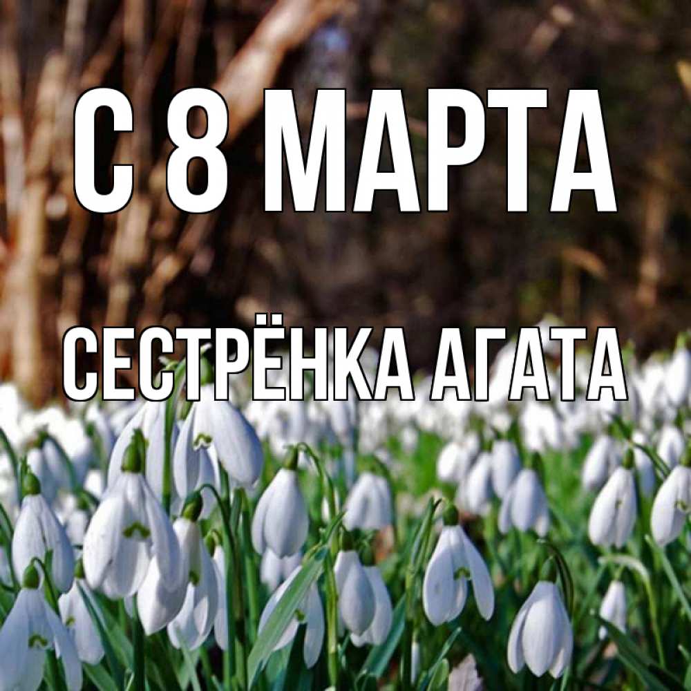 Открытка на каждый день с именем, Сестрёнка-Агата С 8 МАРТА с подснежниками 1 Прикольная открытка с пожеланием онлайн скачать бесплатно 