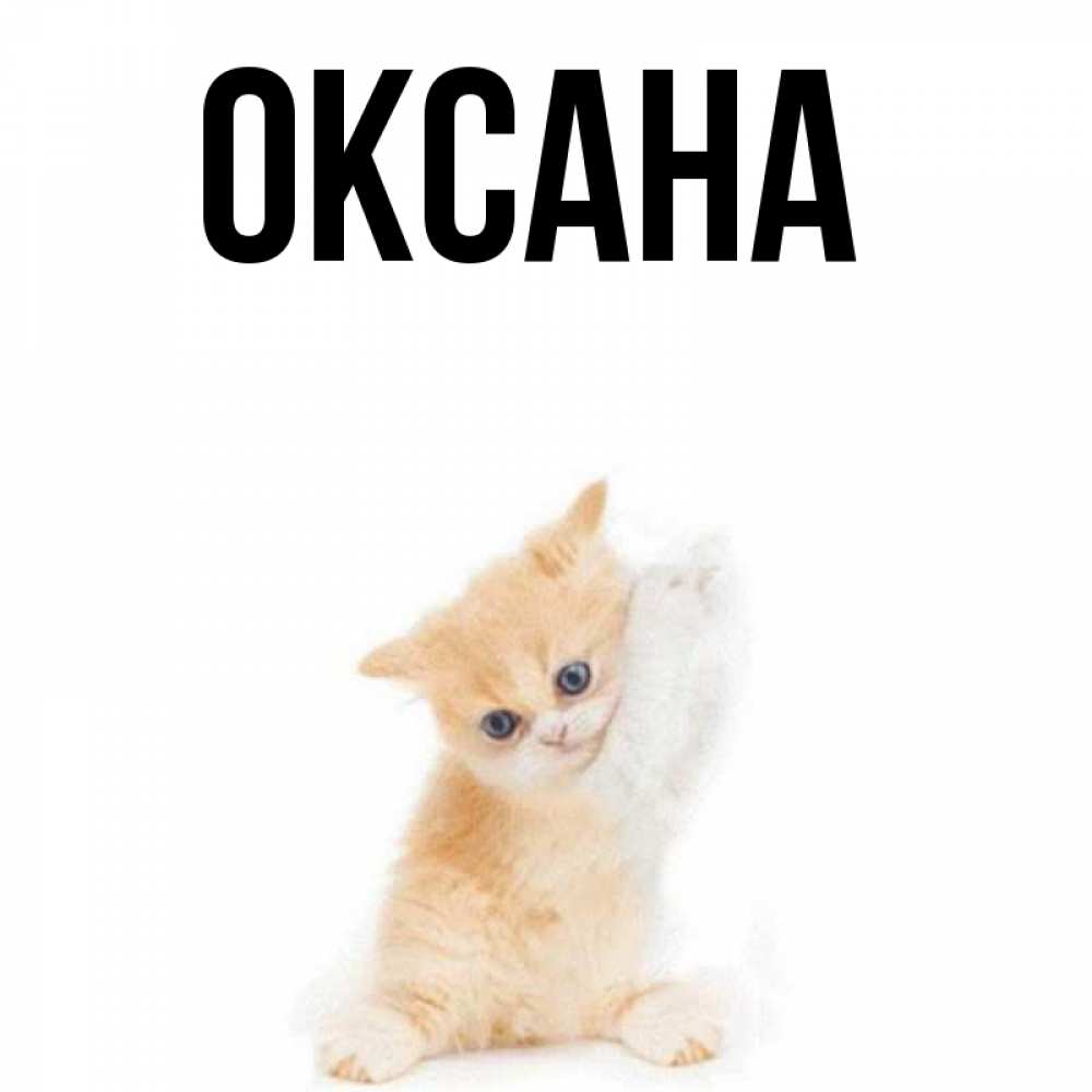 Для, картинка про оксану прикольные