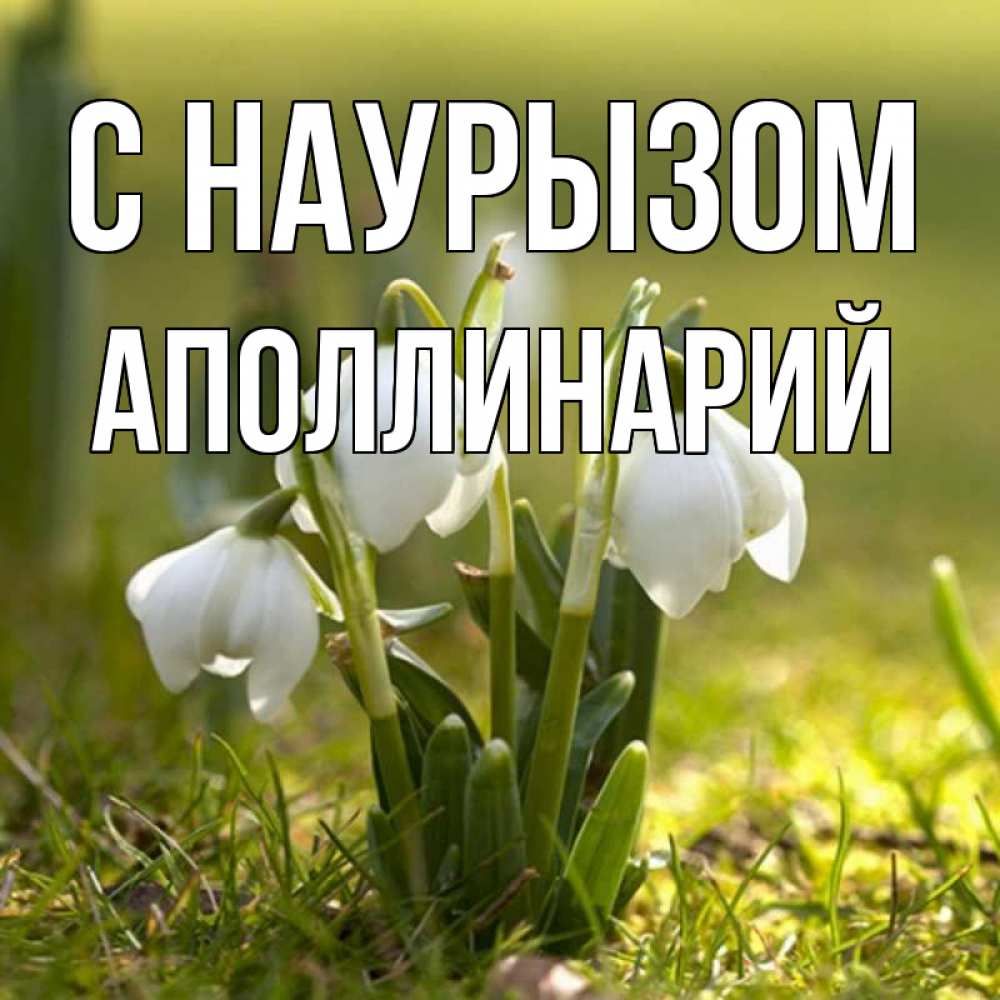 Открытка на каждый день с именем, Аполлинарий С наурызом ранние цветы 2 Прикольная открытка с пожеланием онлайн скачать бесплатно 