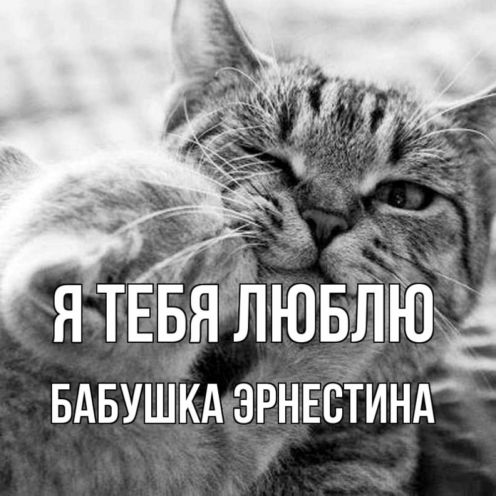 Открытка на каждый день с именем, Бабушка-Эрнестина Я тебя люблю коты Прикольная открытка с пожеланием онлайн скачать бесплатно 