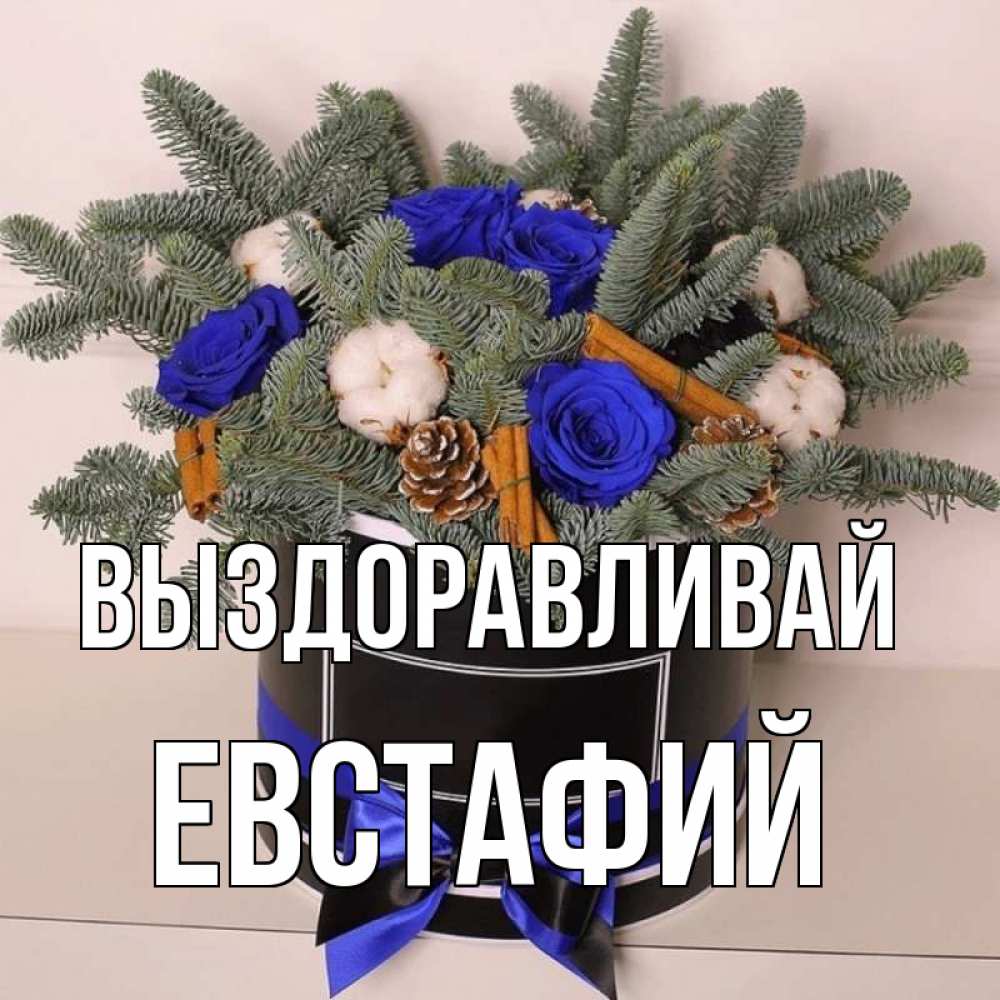 Открытка на каждый день с именем, Евстафий Выздоравливай короче кто то загрузил эти шишки Прикольная открытка с пожеланием онлайн скачать бесплатно 