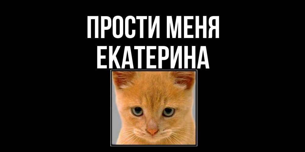 Открытка на каждый день с именем, Екатерина Прости меня рыжий грустный кот просит прощения Прикольная открытка с пожеланием онлайн скачать бесплатно 