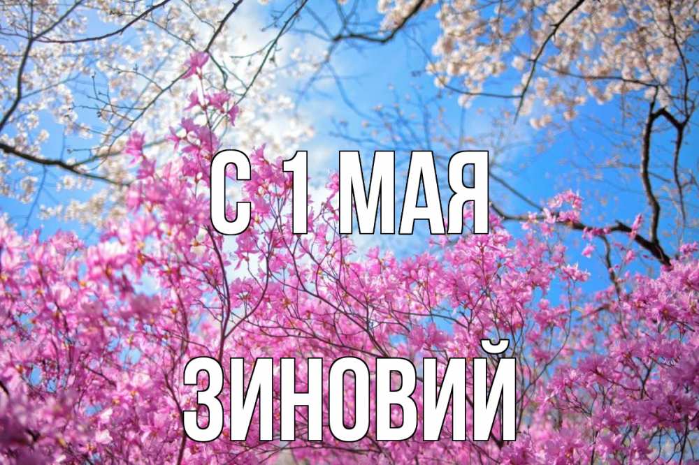 Открытка на каждый день с именем, Зиновий С 1 мая С 1 мая Прикольная открытка с пожеланием онлайн скачать бесплатно 